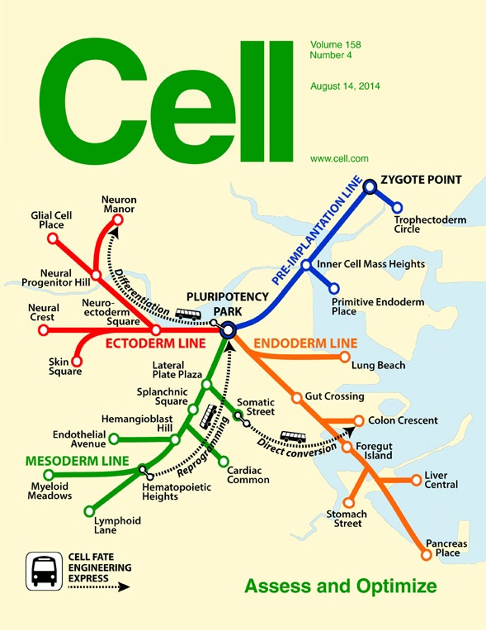 CellNet cell cover